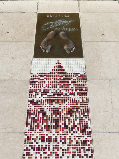 球队的表现 球队的表现