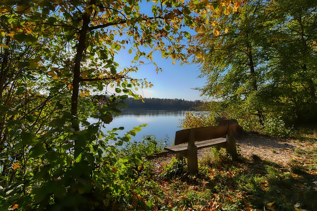 勇士队击败灰熊，库里全场爆发，勇士升至西部第五.